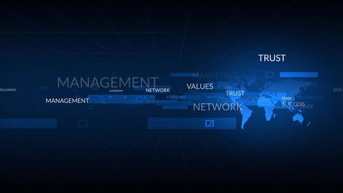 不符合重點軟件企業(yè)標準，網(wǎng)絡技術服務企業(yè)稅收優(yōu)惠力度下降的挑戰(zhàn)與應對